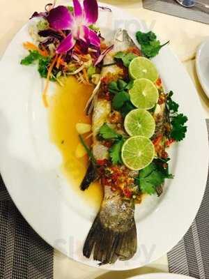 Spring Onion Restaurant