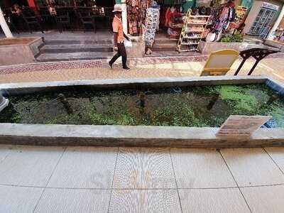 พี.พี. หวัง ต้า ฟู่