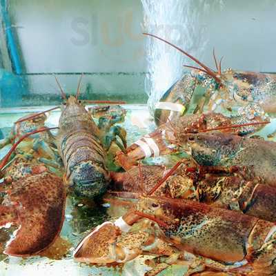 เดริช คาเฟ่