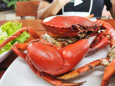 เดริช คาเฟ่