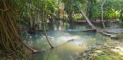 สวนน้ำมิ่งมิตร (suan Nam Ming Mit)