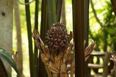 ห้องอาหาร บ้านเรือริมคลอง