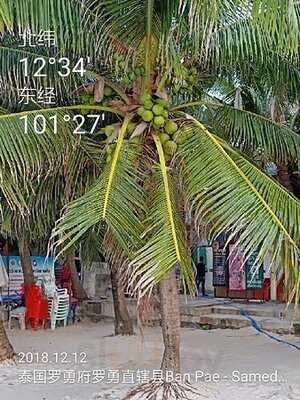 ร้านอาหารจิรวรรณ