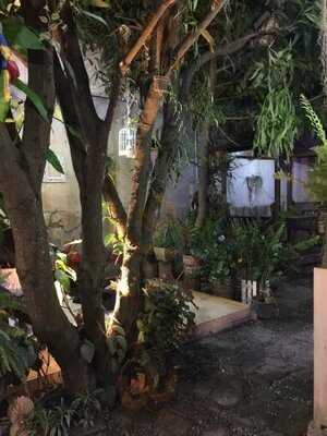 บ้านสวนครัว