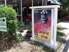 The Singing Frog Maenam