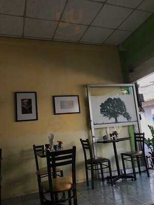 เดอะ ไฮด์เอาท์ 