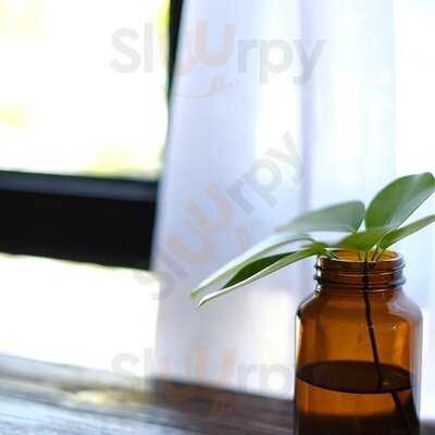 Cottontree Coffee And Cafe