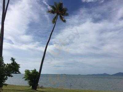 บาคูบุงคาเฟ่