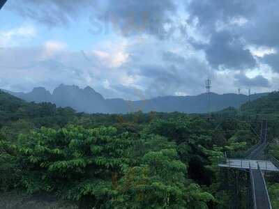 Khaosok Tree House Resort