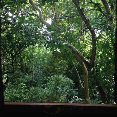 Khaosok Tree House Resort