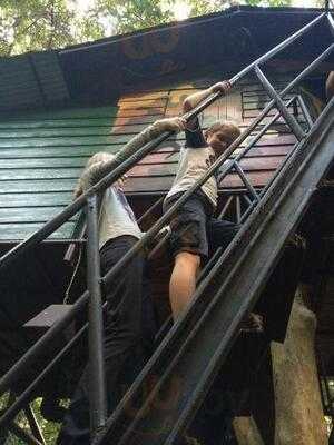 Khaosok Tree House Resort