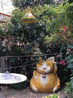 สุดกองดี