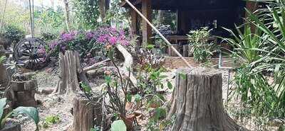 แก่งสัก สวนอาหาร