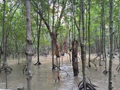 ร้านอาหาร กลางเลซีฟู้ด