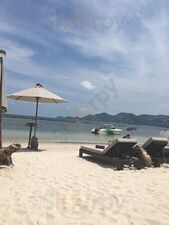Elephant Beach Bar & Restaurant