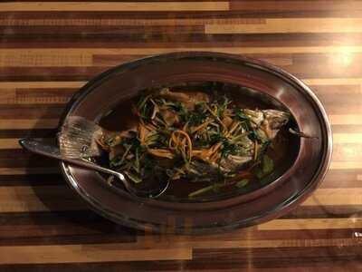 ร่มไม้ริมปิง