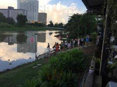 ร่มไม้ริมปิง