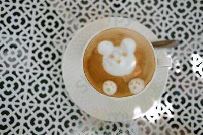 ร้านพันธุ์ไม้คอฟฟี่