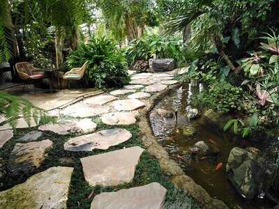 ร้านพันธุ์ไม้คอฟฟี่