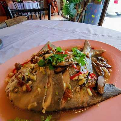 ภัตรคารฉ่ายฮวยโภชนา