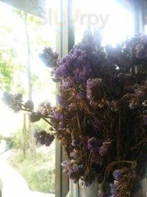 ฮิปโป เฮ้าส์