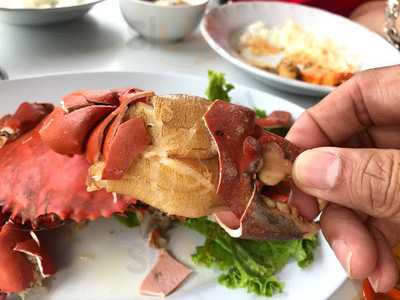 ศรีสุวรรณโภชนา (ริมถนน)