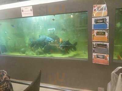 บ้านเสาวกา