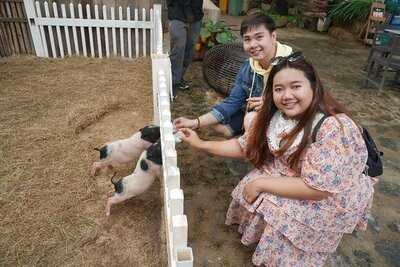 ร้านอาหาร สมอลล์ฟาร์ม