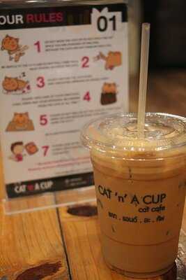 แคท แอนด์ อะ คัพ แคท คาเฟ่