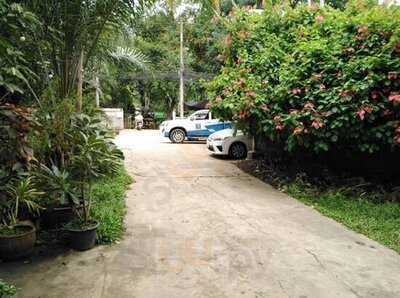 ล้านกินเส้น