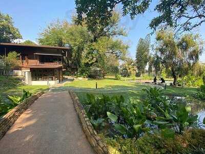 เออร์ลี่ อาวส์