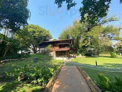 เออร์ลี่ อาวส์