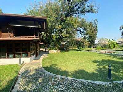 เออร์ลี่ อาวส์