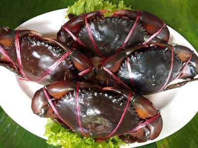 Somyos Paknam Seafood