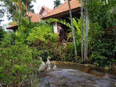 ไทย สไปซ คูซีน