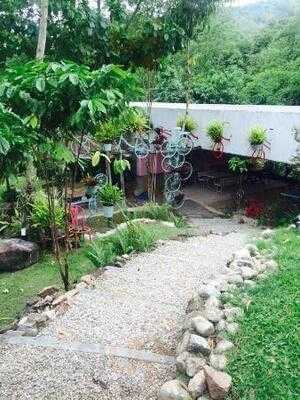 ต้นขนมหวานสะพานกาแฟ