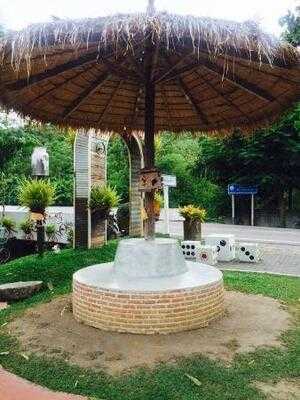 ต้นขนมหวานสะพานกาแฟ