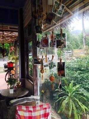 ต้นขนมหวานสะพานกาแฟ