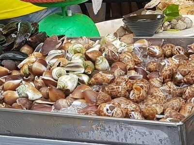 สถานีหอย