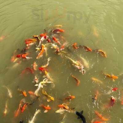 บ้านสวนเขาคราม :