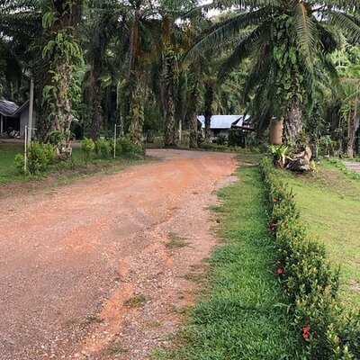 บ้านสวนเขาคราม :