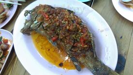 ข้าวต้มคนเห็น