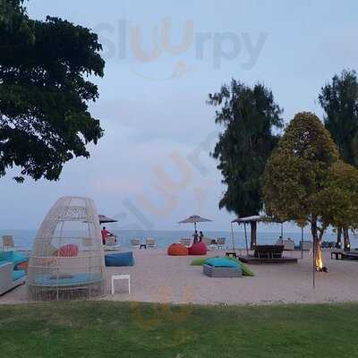 บีช โซไซตี้