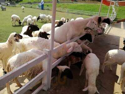 อะคัพออฟเลิฟ ร้านกาแฟ