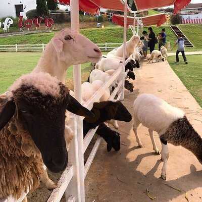 อะคัพออฟเลิฟ ร้านกาแฟ