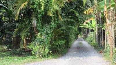 ก๋วยเตี๋ยวกะลาลุงเผ่า