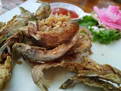 ร้านอาหาร ครัวปลาเขื่อน