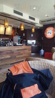 กาแฟปางขอน