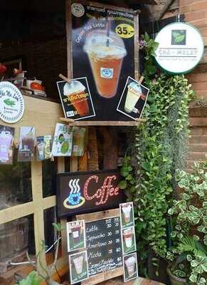 ชามาเลย์