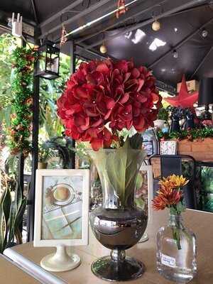 กาแฟ มอคค่า พอต